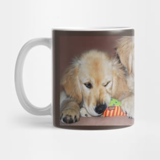 "Sibling Rivalry" Mug